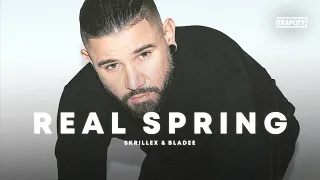 Skrillex & Bladee - Real Spring