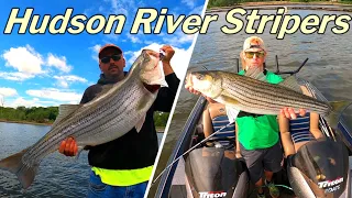 NON STOP GIANT STRIPED BASS | Hudson River Fishing Albany