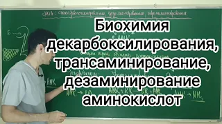 Биохимия декарбоксилирования, трансаминирование и дезаминирование аминокислот.