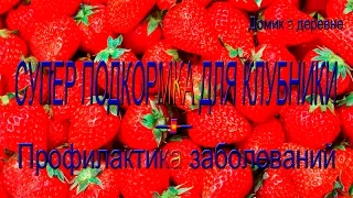 Самая лучшая подкормка клубники!!!!!!!