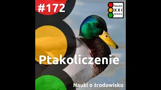 #172. Ptakoliczenie