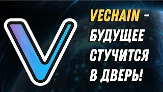 Криптовалюта VeChain (VEN) | Обзор, прогноз и перспективы