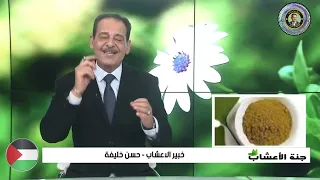 فوائد الجنسنج  مــع خـبـيـر الاعشاب حسن خليفه رحمه الله تعالى وغفر له .