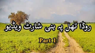 Beautiful Dessert in Pakistan Thall | Roda thall district Khushab | Documentary Of Roda thall part 1