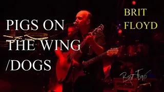 PIGS ON THE WING / DOGS | Brit Floyd "The World's Greatest Pink Floyd Tribute Show"