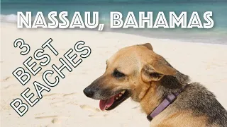 Three Best Beaches Nassau Bahamas (Secret beach)