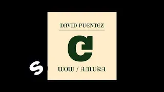 David Puentez - Wow (Original Mix)