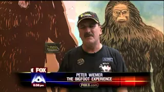 Bigfoot experience