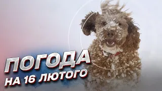 🌨️ Погода на 16 лютого: який прогноз по Україні?