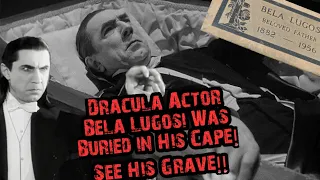 Unveiling the Secrets: Bela Lugosi's Dracula Grave and its Cape Connection