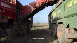 🕯🕯🕯Holmer-Fendt-Hawe-Claas / Rübenernte - Beet Harvest  2018    3/4