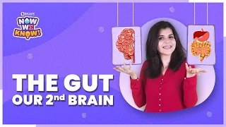 Is the Gut Our Second Brain? 🧠 | Now We Know | BYJU’S