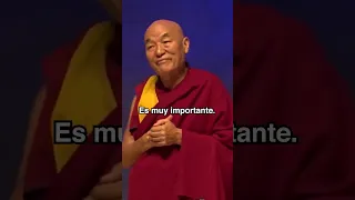 "El pensamiento negativo se nota" - Venerable Thubten Wangchen