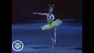 プロローグ・パ・ド・シス「眠れる森の美女」ゴリコワ、ボリショイ劇場  Sleeping Beauty  Prologue, Pas de six, Bolshoi Ballet　1988
