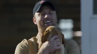 The Puppy and Clydesdale. Budweiser 2014 Super Bowl Best Buds Commercial.