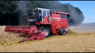 Mähdrescher Massey Ferguson 760 im Einsatz 2022