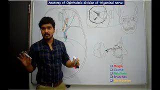 Anatomy of Ophthalmic division of trigeminal nerve - Simplified and made easy for beginners