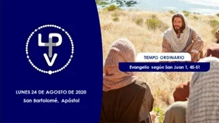 Evangelio del día lunes 24 de agosto de 2020, Pbro. Guillermo Buzzo