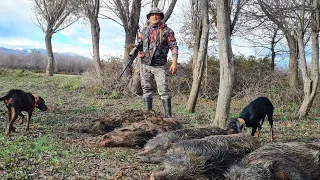 MY WORLD , MY LIFE ( WİILD BOAR HUNTING)