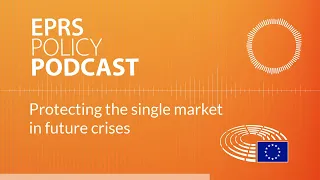 Protecting the single market in future crises [Policy podcast]