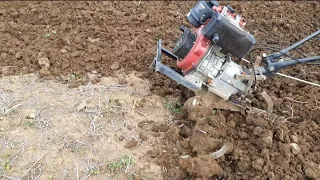 პატარა ტრაქტორით მიწის დამუშავება სიმინდის დასათესათ
