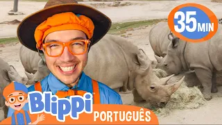 Blippi Passa o Dia no Zoológico! | Blippi em Português | Vídeos Educativos para Crianças