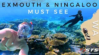 EXMOUTH & NINGALOO REEF | AN UNDERWATER PARADISE!