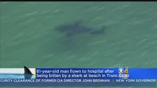 Cape Cod Beach Remains Closed After Shark Attack