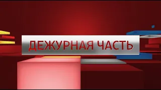 ДЕЖУРНАЯ ЧАСТЬ АЛАНИЯ №591 от 25 01 2020