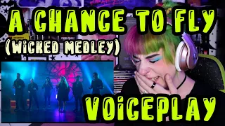 REACTION | VOICEPLAY "A CHANCE TO FLY (WICKED MEDLEY)" ft. RACHEL POTTER & EMONI WILKINS