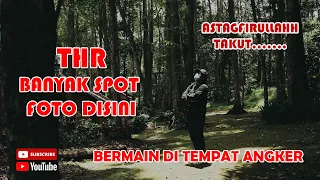 tahura dago bandung II wisata Menyenangkan...tahura bandung