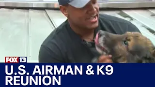 U.S. airman reunites with military dog