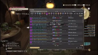 Final Fantasy XIV TEA 2 players going at it (WARNING VERY Toxic)