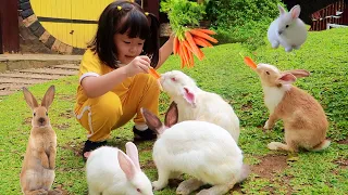 Yuk Kasih Makan Kelinci dan Perah Susu Sapi | Mengenal Binatang Lucu untuk Anak Anak