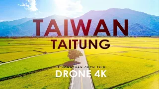 Taitung, Taiwan by Drone 4K - A Hidden Paradise in the Brown Boulevard (台東池上, 伯朗大道)