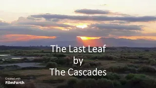 The Cascades - The Last Leaf