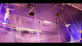 Trapeze Circus Circus