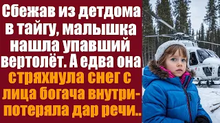 Сбежав из детдома в тайгу, малышка нашла упавший вертолёт. А едва она стряхнула снег с лица богача..