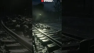 40 People Get Ran Over By a Train At Night | RDR2