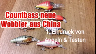 Neue Wobbler von Countbass aus China und 1.Eindruck