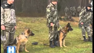 Підсумок дня у "Новинах" на ТРК "Львів" 18 11 15 20 30