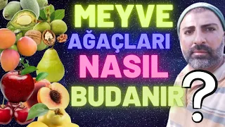 Erik,Kayısı,Elma,Armut,Ayva,Kiraz, Vişne,Ceviz,Hurma,Gül,Üzüm Badem,Şeftali Ağaçları Nasıl Budanır?