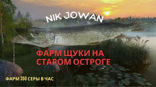 ЩУКА НА СТАРОМ ОСТРОГЕ  фарм    #рр4