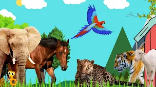 Animal Symphony: Fun Sounds for Kids and Parents!: Cows, pigs, goats, horses, lion and many others.