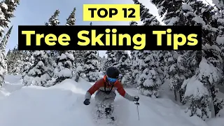How To Ski Trees - 12 Tips To Improve Your Tree Skiing