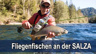 Fliegenfischen auf Äschen an der steirischen Salza - 50+ ÄSCHE! Marcel Roncari mit Rudi Heger