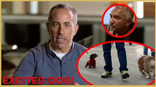 Can Jerry Seinfeld Walk His Overly Excited Dog? Part 2 | Cesar911 Shorts