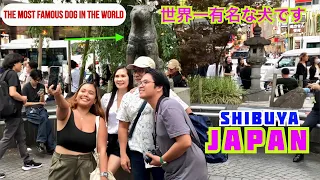 🌸世界一有名な犬です, Visit Hachiko Statue (ハチ公像) Shibuya お散歩, Tokyo, Japan 4k ||