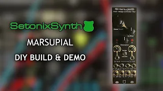 SetonixSynth Marsupial VCF DIY Module Build & Demo - Eurorack Modular Synth DIY - #6