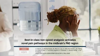 Best-in-class non-opioid analgesic activates novel pain pathways in the midbrain’s PAG region